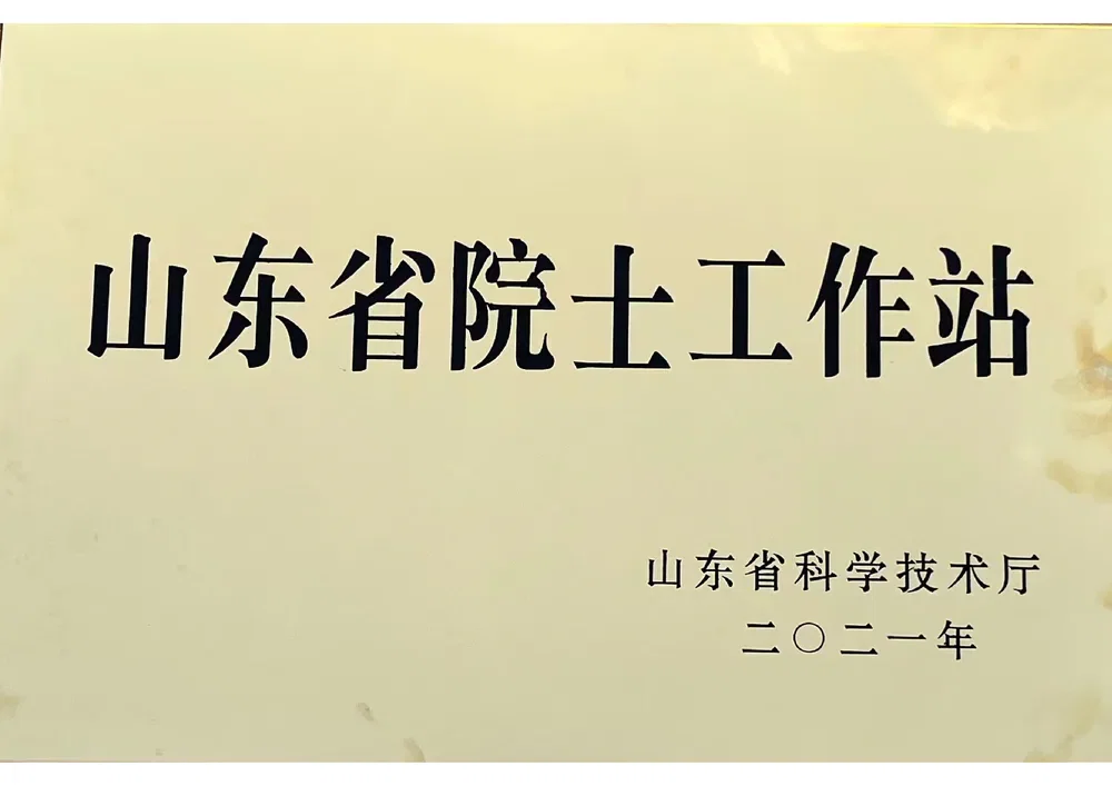 Shandong Provincial Academician Workstation
