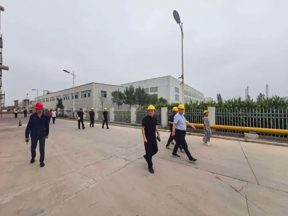 到访客户走在万生 DOTP 厂区为工艺供热的生物质装置旁道路